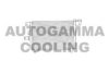 OPEL 8971239800 Condenser, air conditioning
